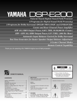 Yamaha DSPE-200 - Owners Manual 